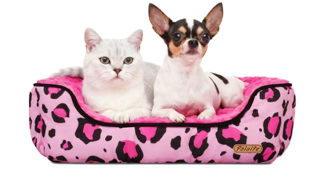 Pet bed